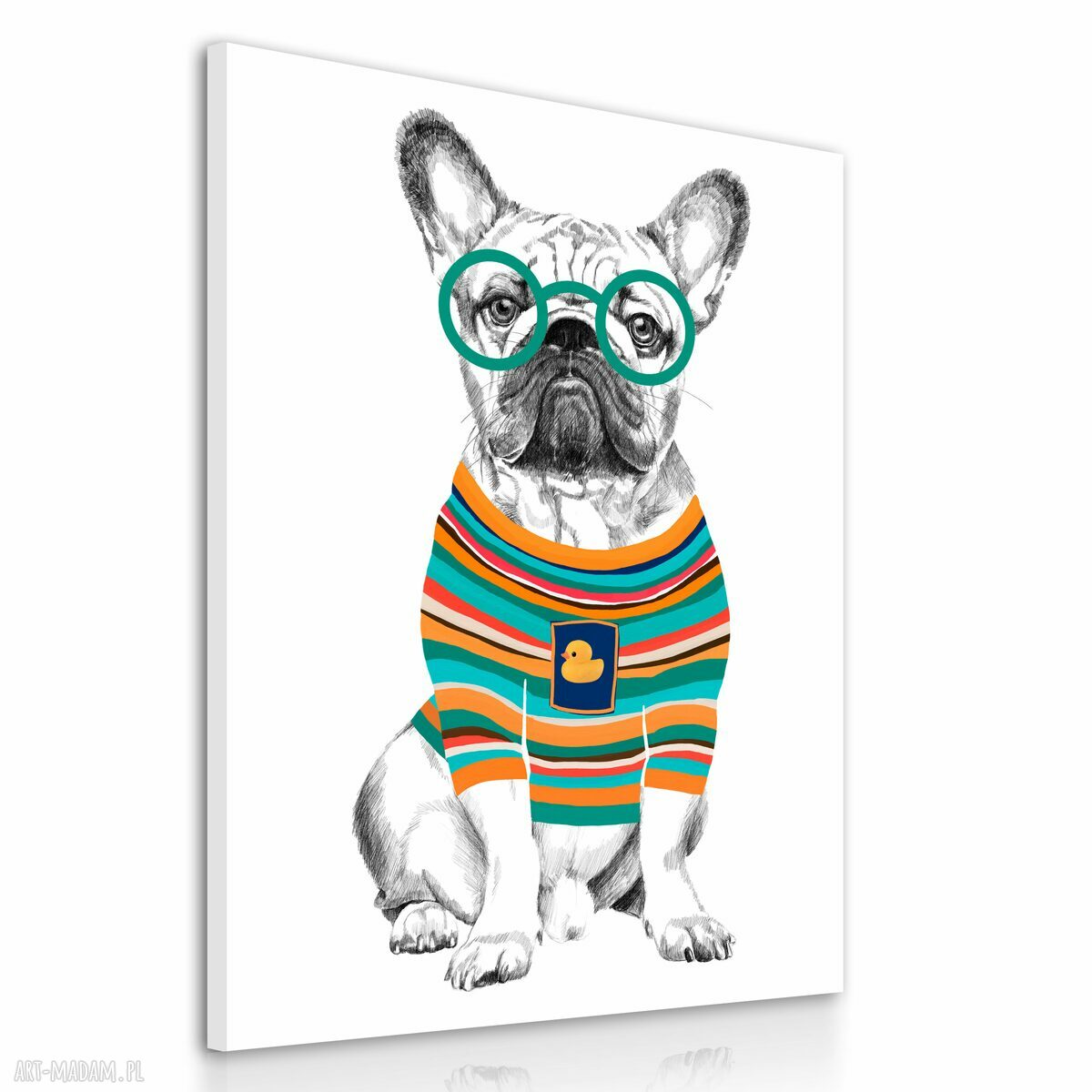 Obraz na płótnie 60x80 cm Bulldog - wysyłka w 24 h