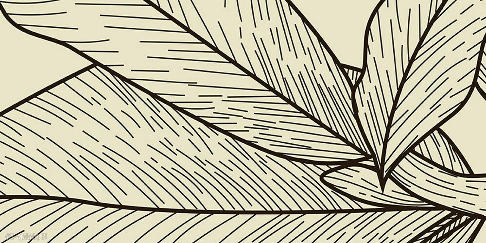 Beżowy obraz na płótnie Protea line art 120x80 cm