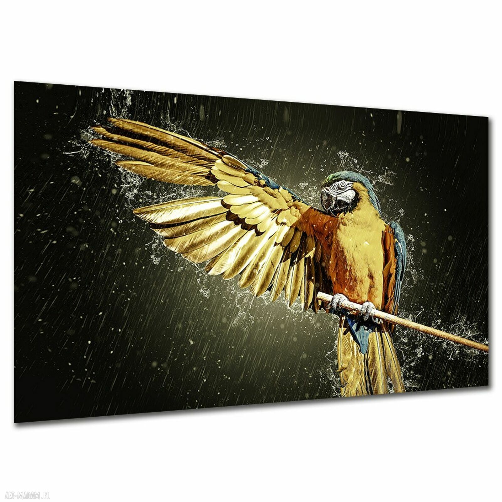 Obraz na płótnie z papugą arą 120x80 cm