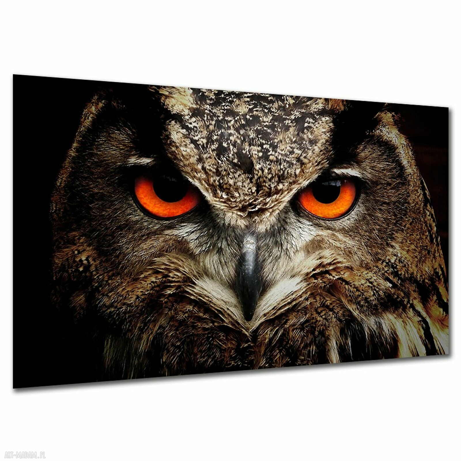 Obraz na ścianę z sową - makro oczu 120x80 cm