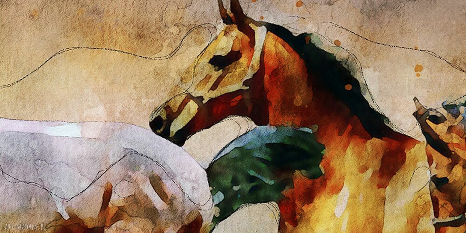 Obraz na ścianę z galopującymi końmi - 120x80 cm