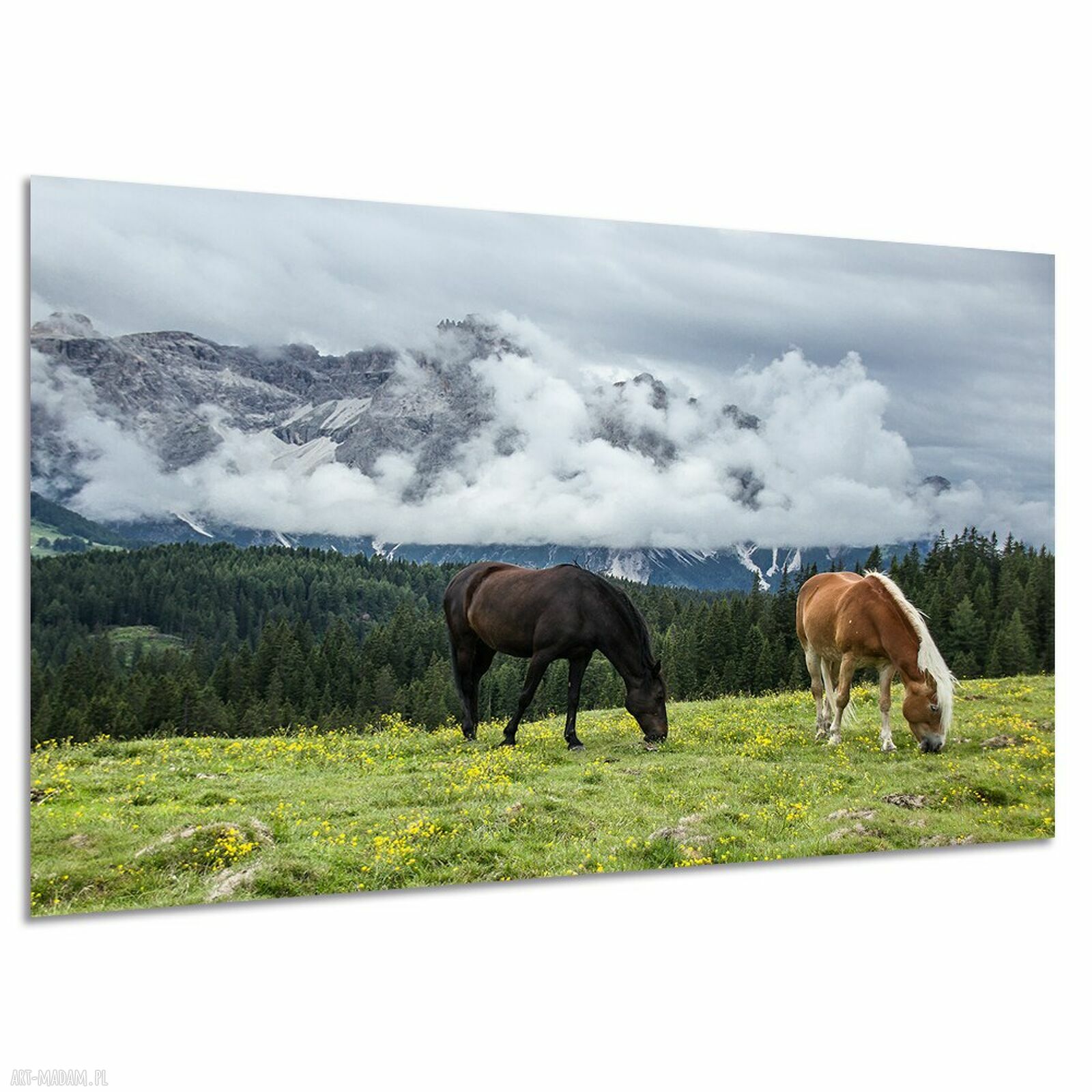 Obraz na płótnie - pasące się konie w górskim krajobrazie 120x80 cm
