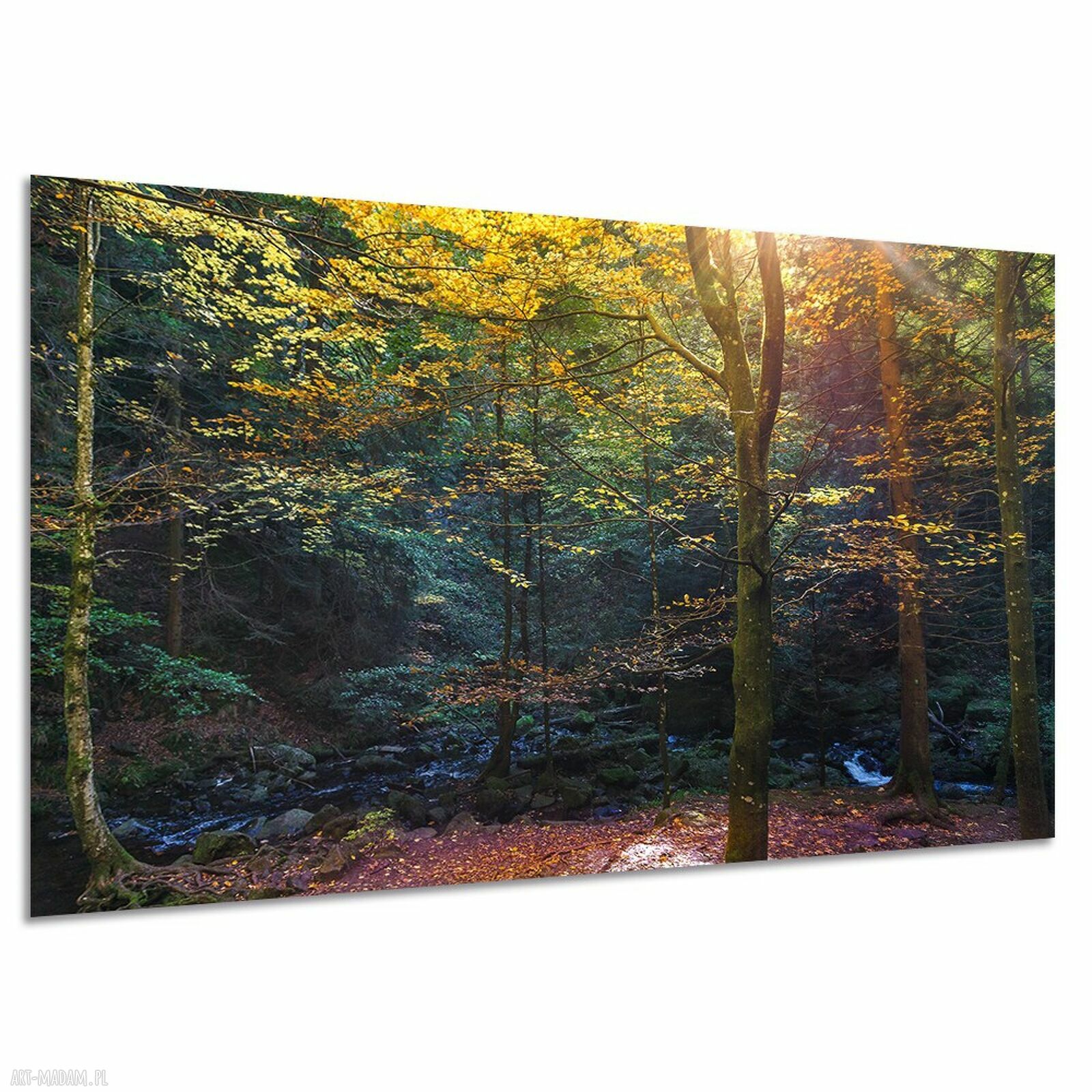 Obraz na płótnie Jesienny Las 120x80 cm - leśny potok i słońce