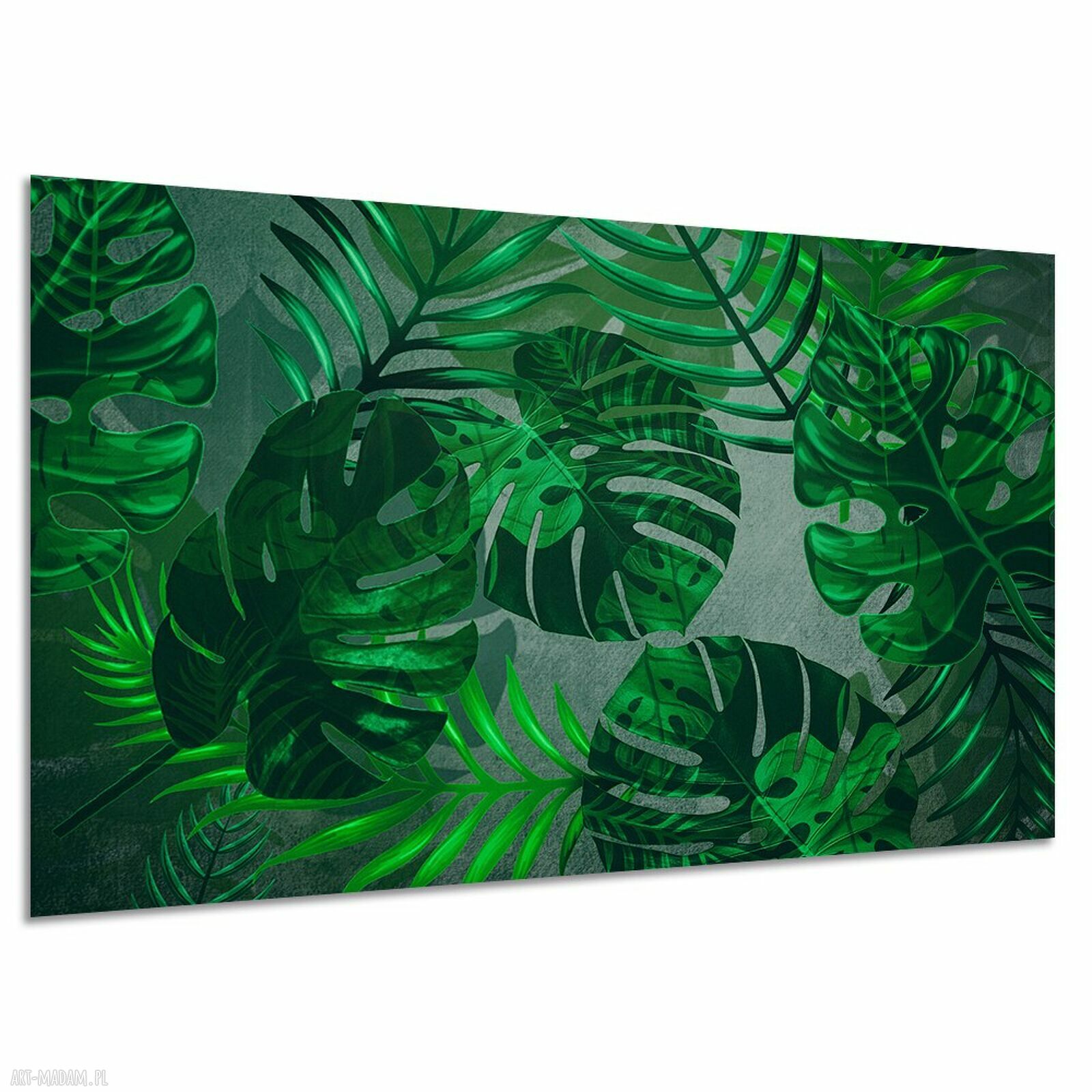 Obraz na płótnie z zielonymi liśćmi monstery 120x80 cm