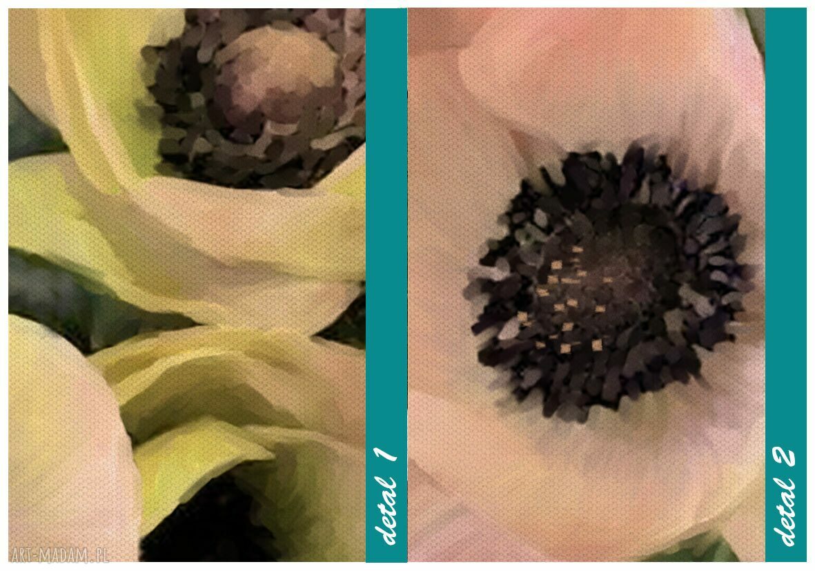 Obraz do salonu z różowymi anemonami na płótnie 147x60 cm