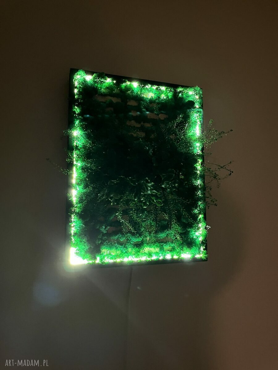 Tryumf Natury - leśny obraz LED z chrobotkiem i roślinami stabilizowanymi 20x30