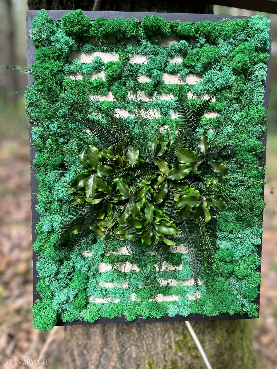 Tryumf Natury - leśny obraz LED z chrobotkiem i roślinami stabilizowanymi 20x30
