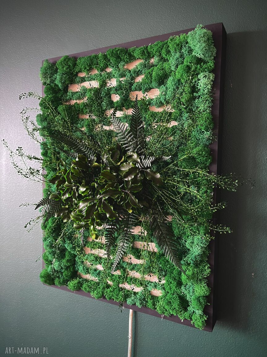 Tryumf Natury - leśny obraz LED z chrobotkiem i roślinami stabilizowanymi 20x30