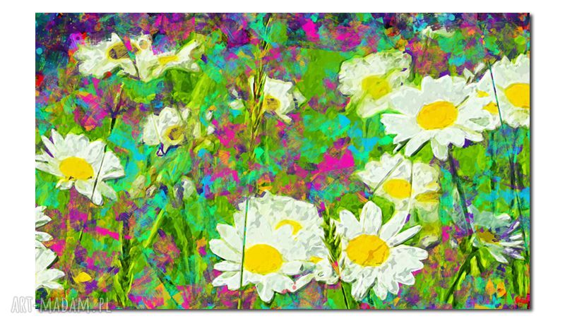 Obraz XXL Stokrotki 1 120x70 cm na płótnie - Kwiaty łąka