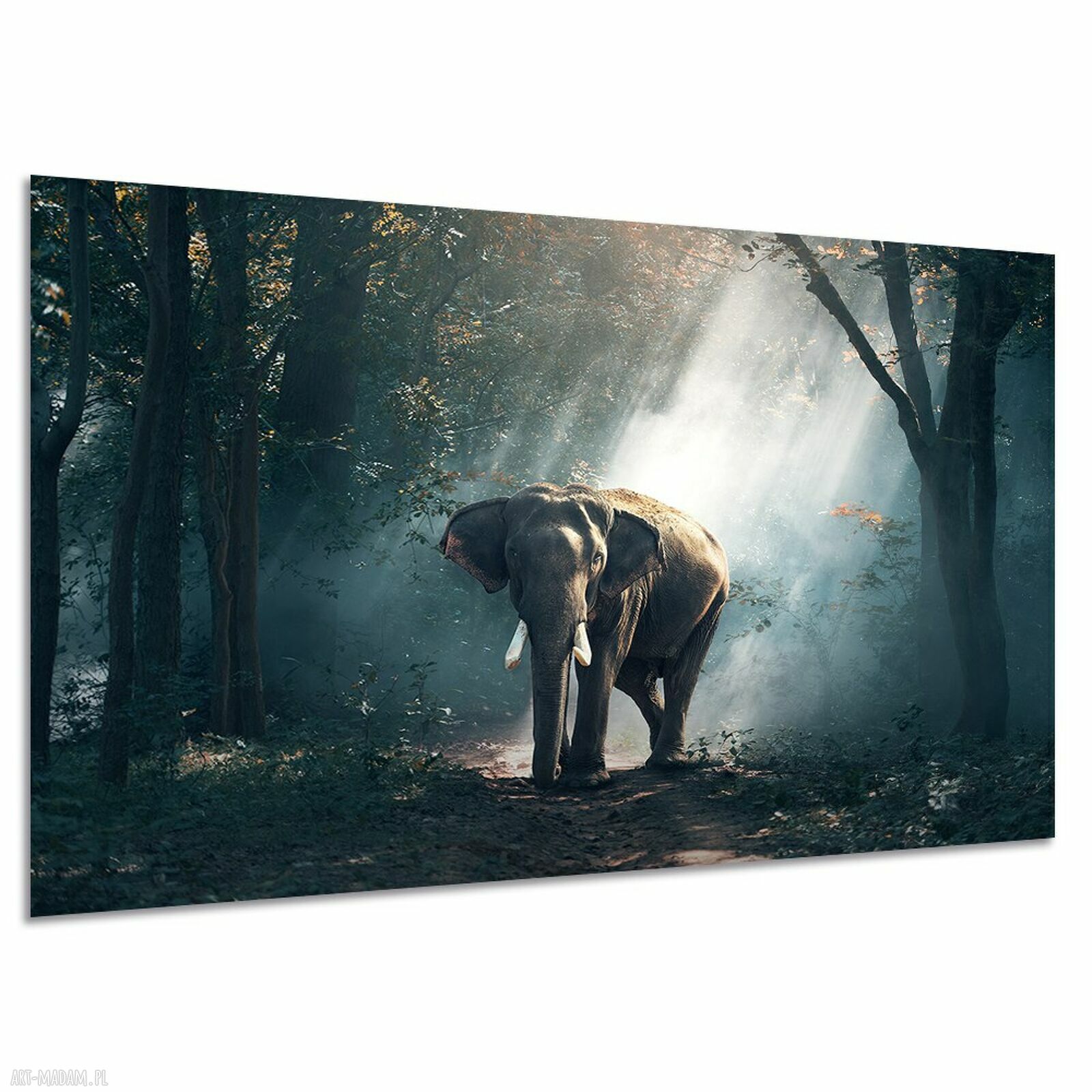 Obraz na płótnie do salonu Słoń we mgle - dżungla 120x80 cm