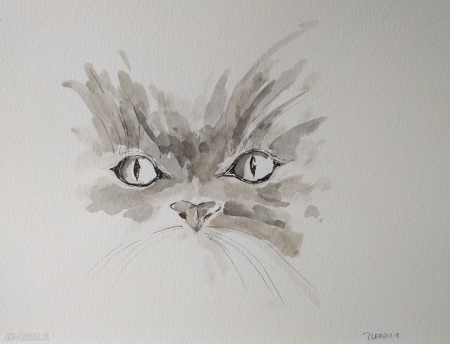 Oczy - praca z tuszem i akwarelą na papierze 21 x 28,2 cm