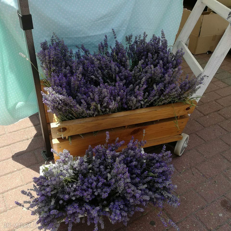 Oferta specjalna na Agnieszki - króliczek Tilda z haftem na uchu + 3 woreczki lawendy