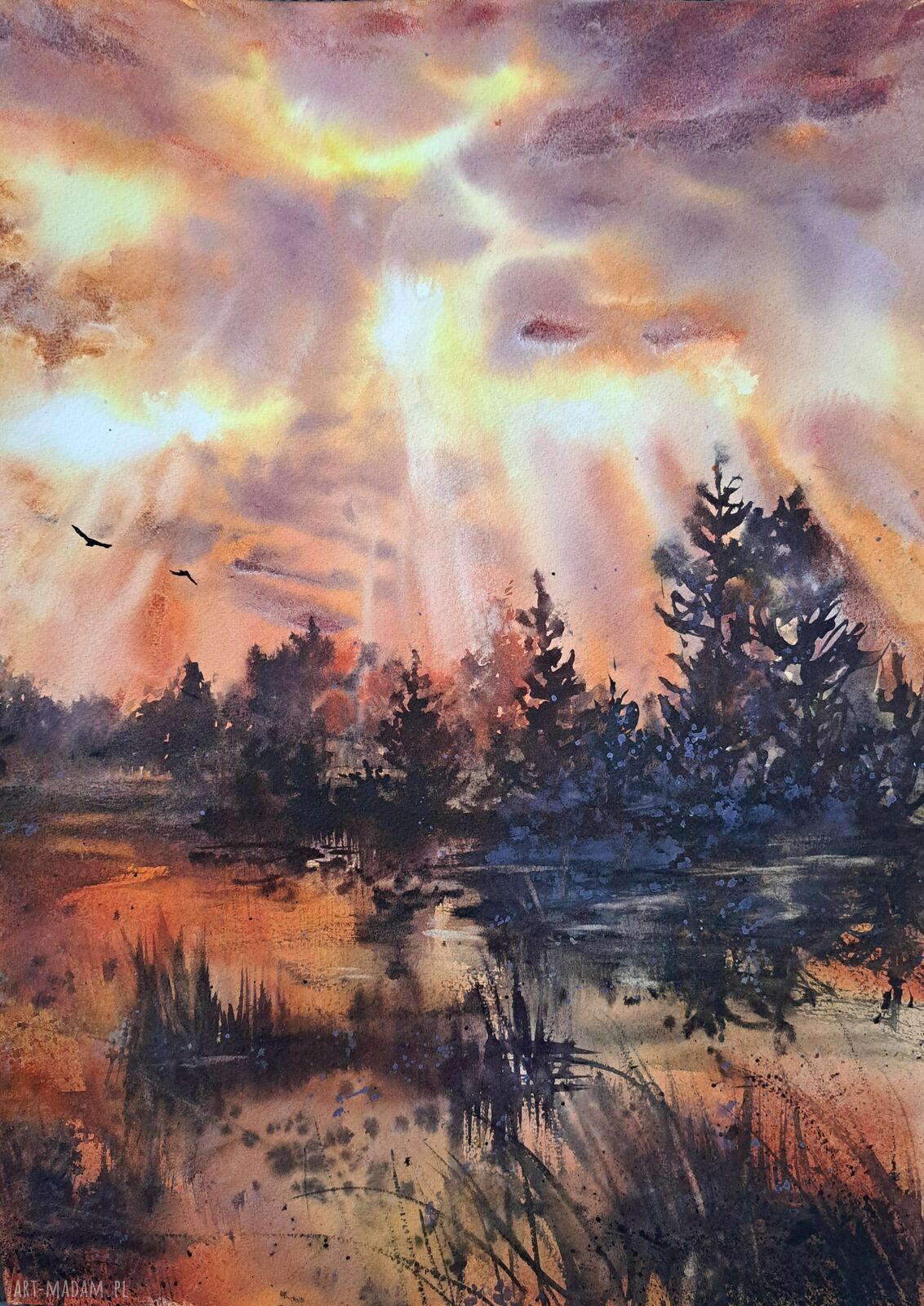 Ognisty zmierzch nad mokradłami - oryginalna akwarela 43x31 cm