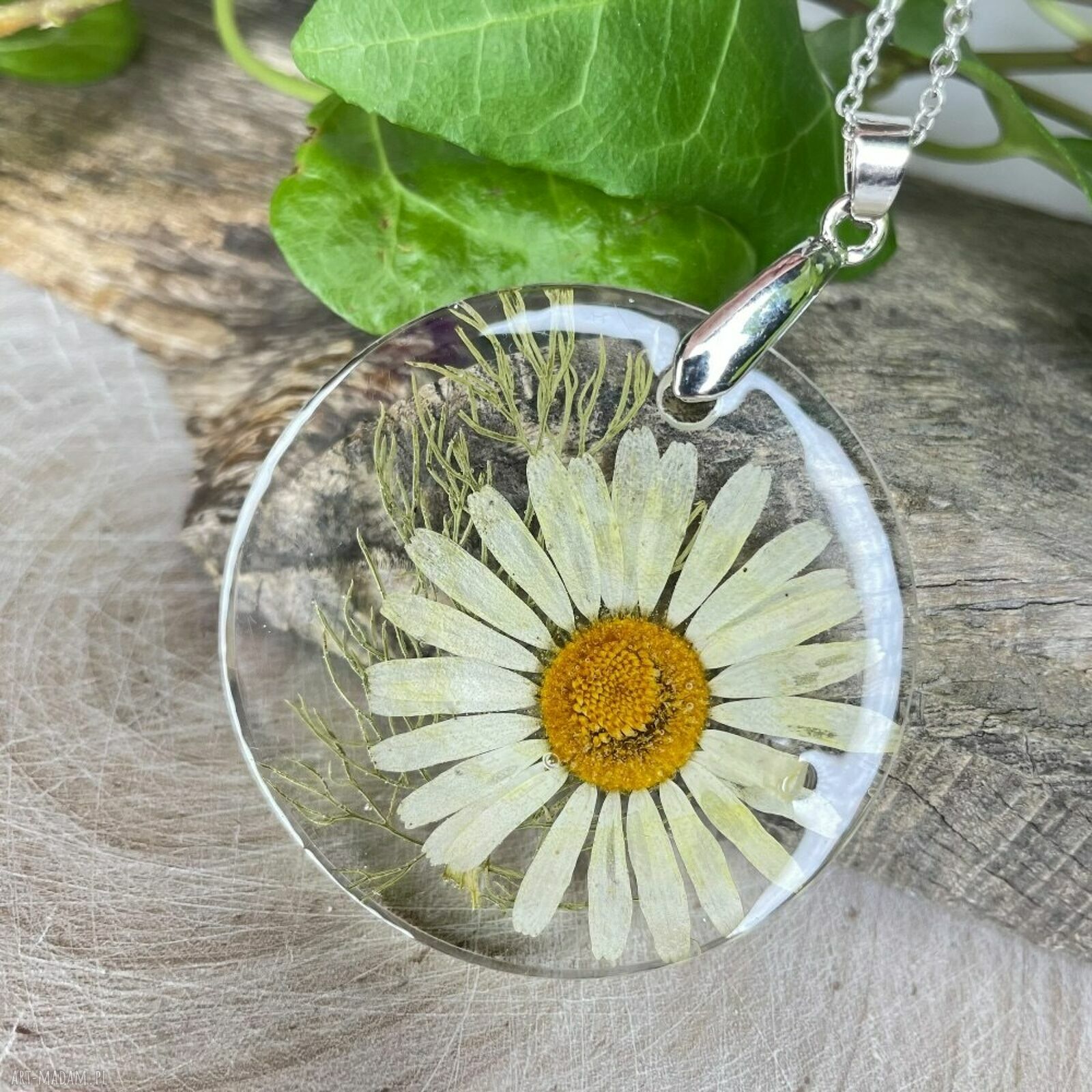 Okrągły wisiorek z suszonym rumiankiem - Herbarium Jewelry, żywica i stal chirurgiczna