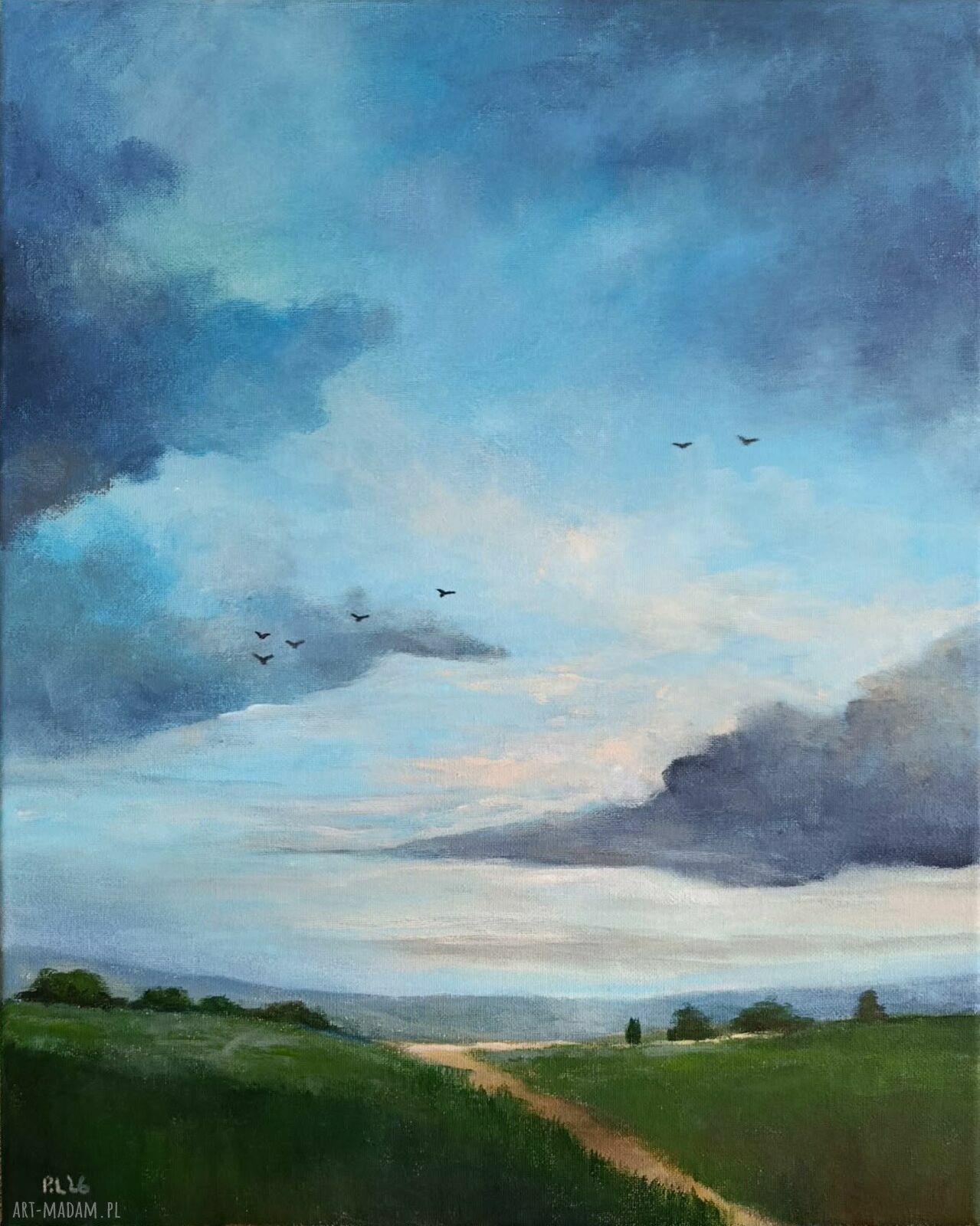 Przemijanie - obraz akrylowy 50x40 cm z chmurami i ptakami