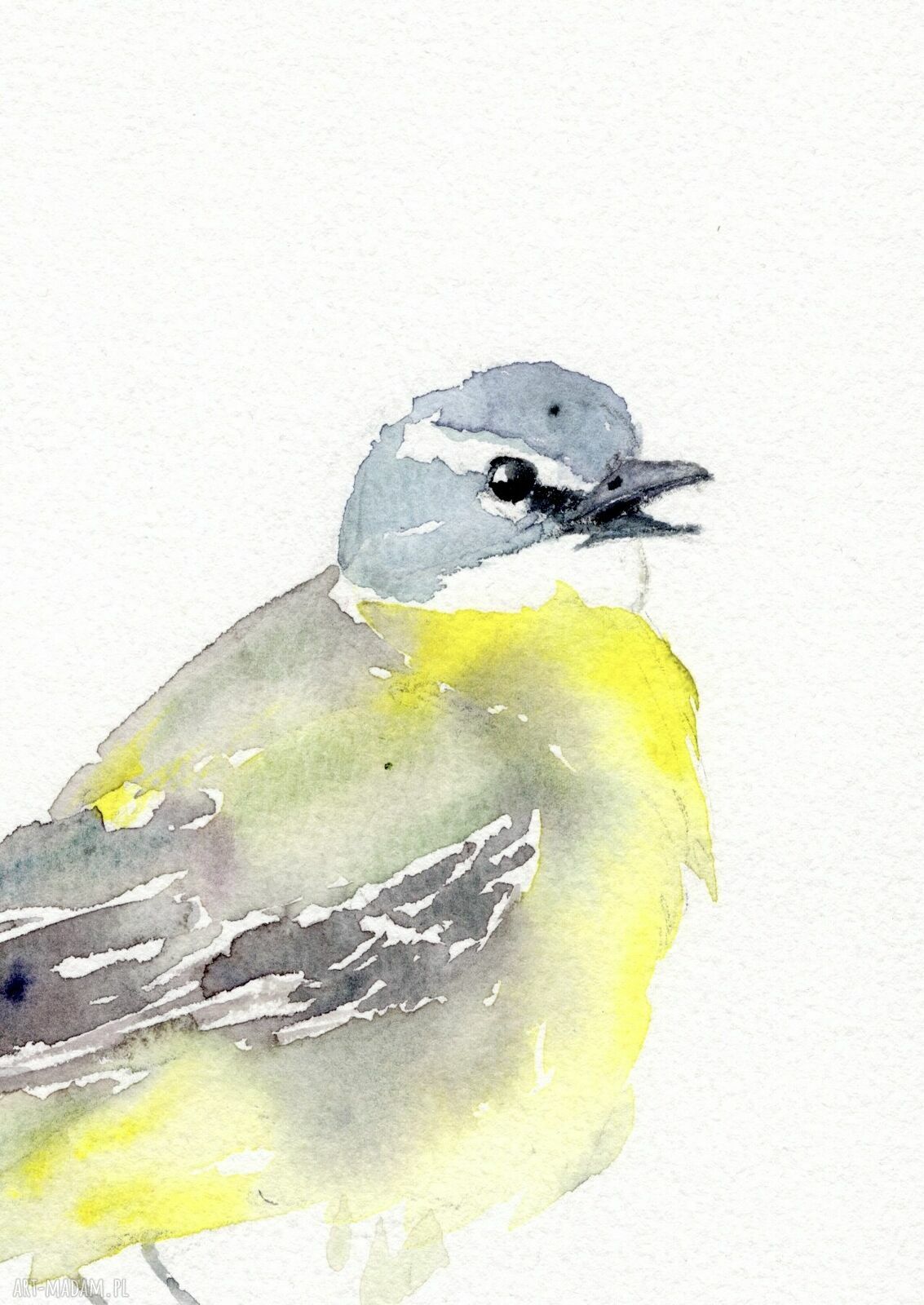 Oryginalna akwarela - Pliszka żółta (A4)