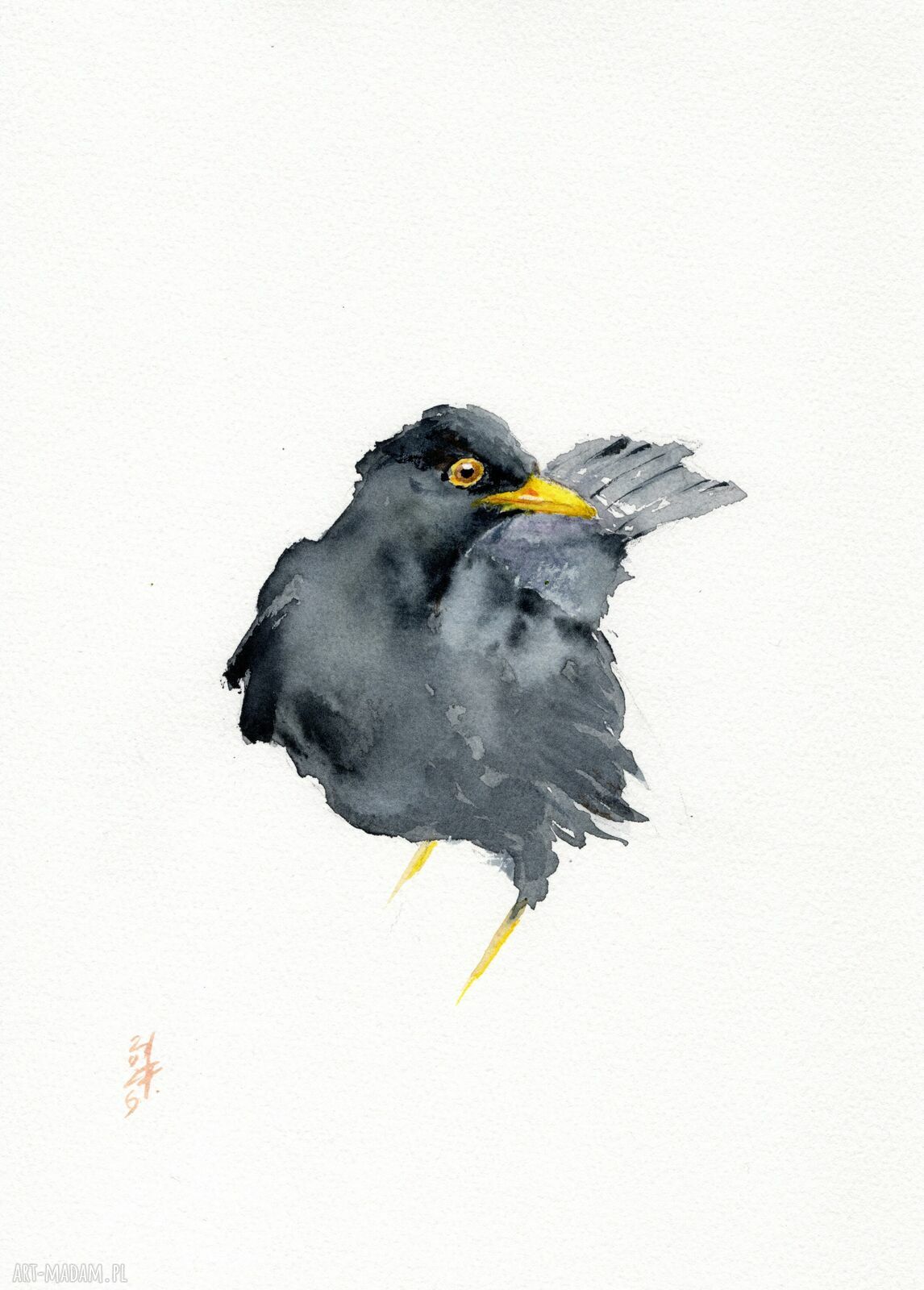 Oryginalna akwarela „Kos” - ptak w formacie A4