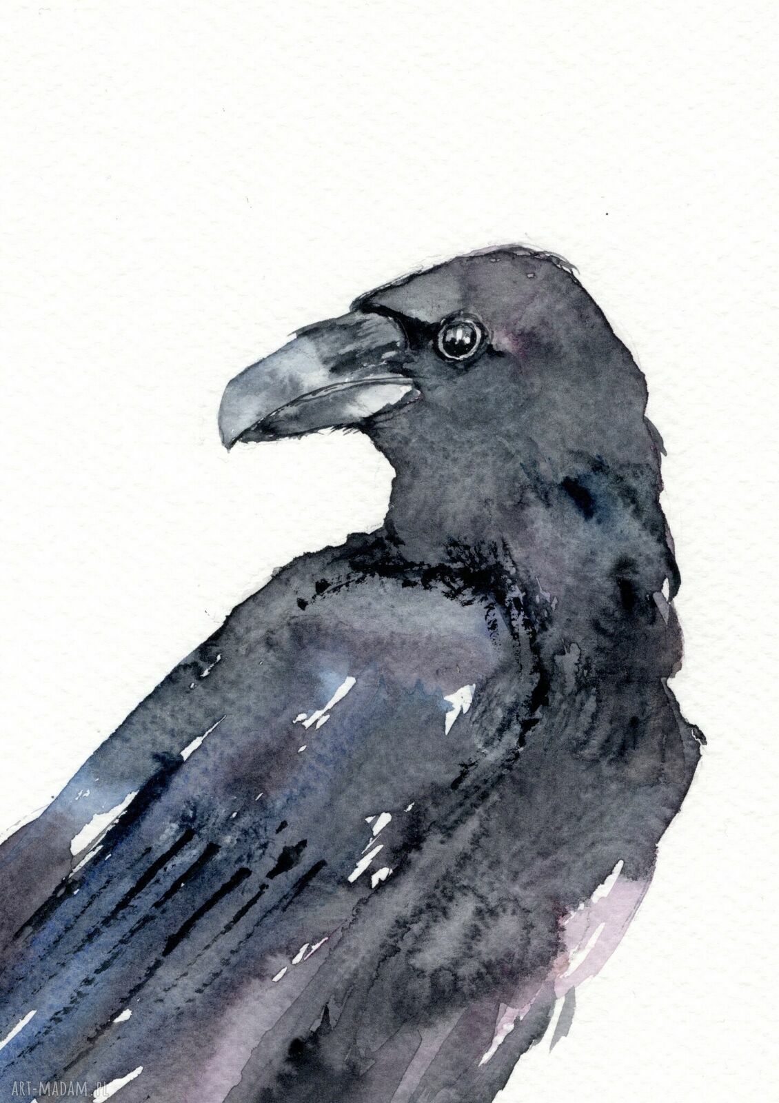 Oryginalna akwarela Kruk A4