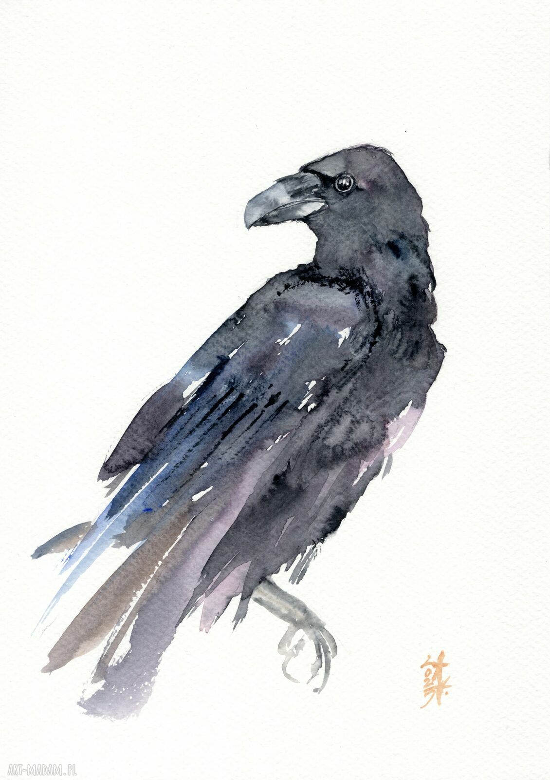Oryginalna akwarela Kruk A4