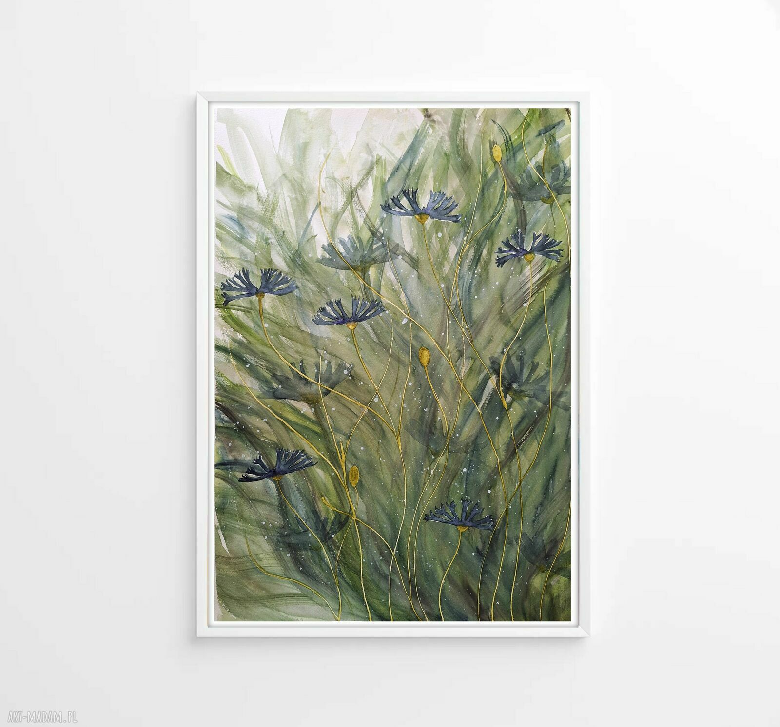 Oryginalna akwarela A2 - Chabry
