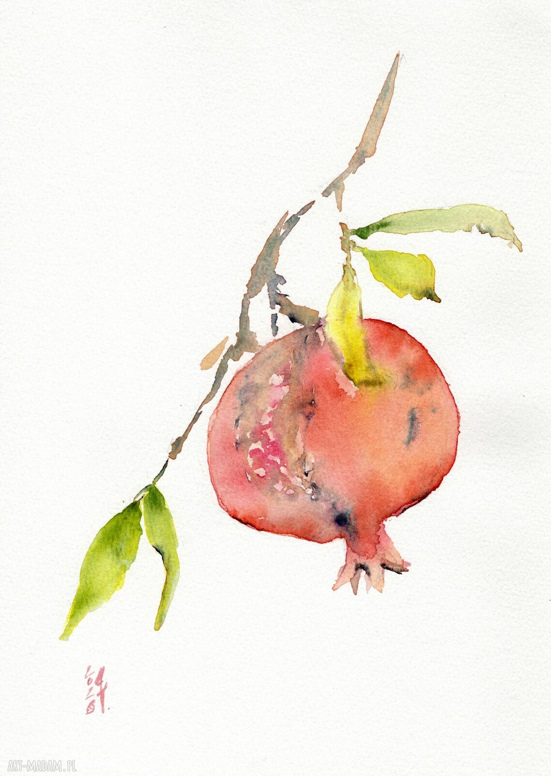 Oryginalna akwarela „Owoc granatu” A4