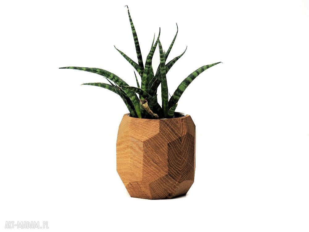 Doniczka geometryczna z dębu na sukulenty - planter do domu