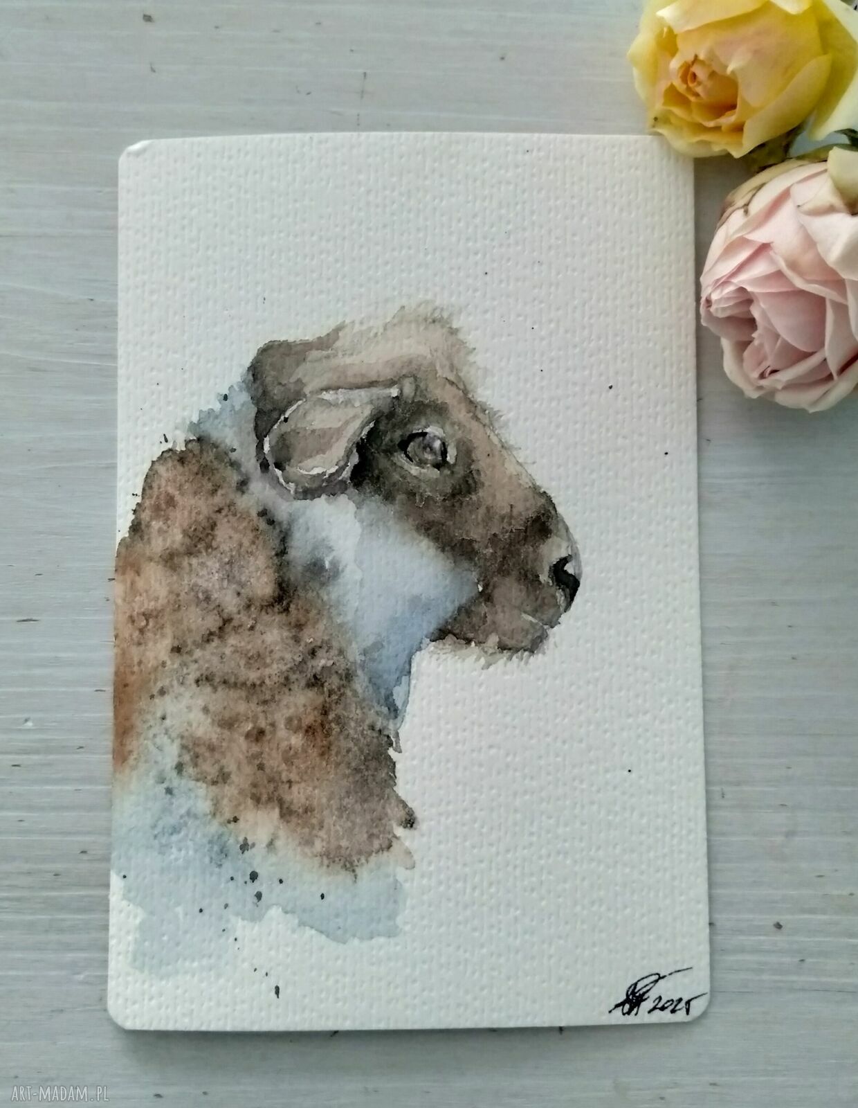 Owca. Akwarela - obraz 10x15 cm w stylu skandynawskim i rustykalnym