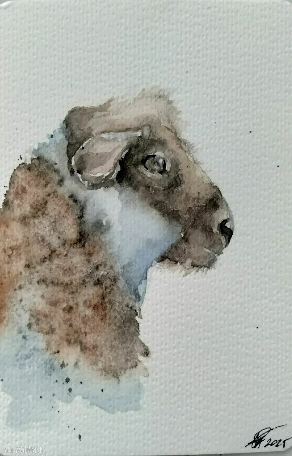 Owca. Akwarela - obraz 10x15 cm w stylu skandynawskim i rustykalnym