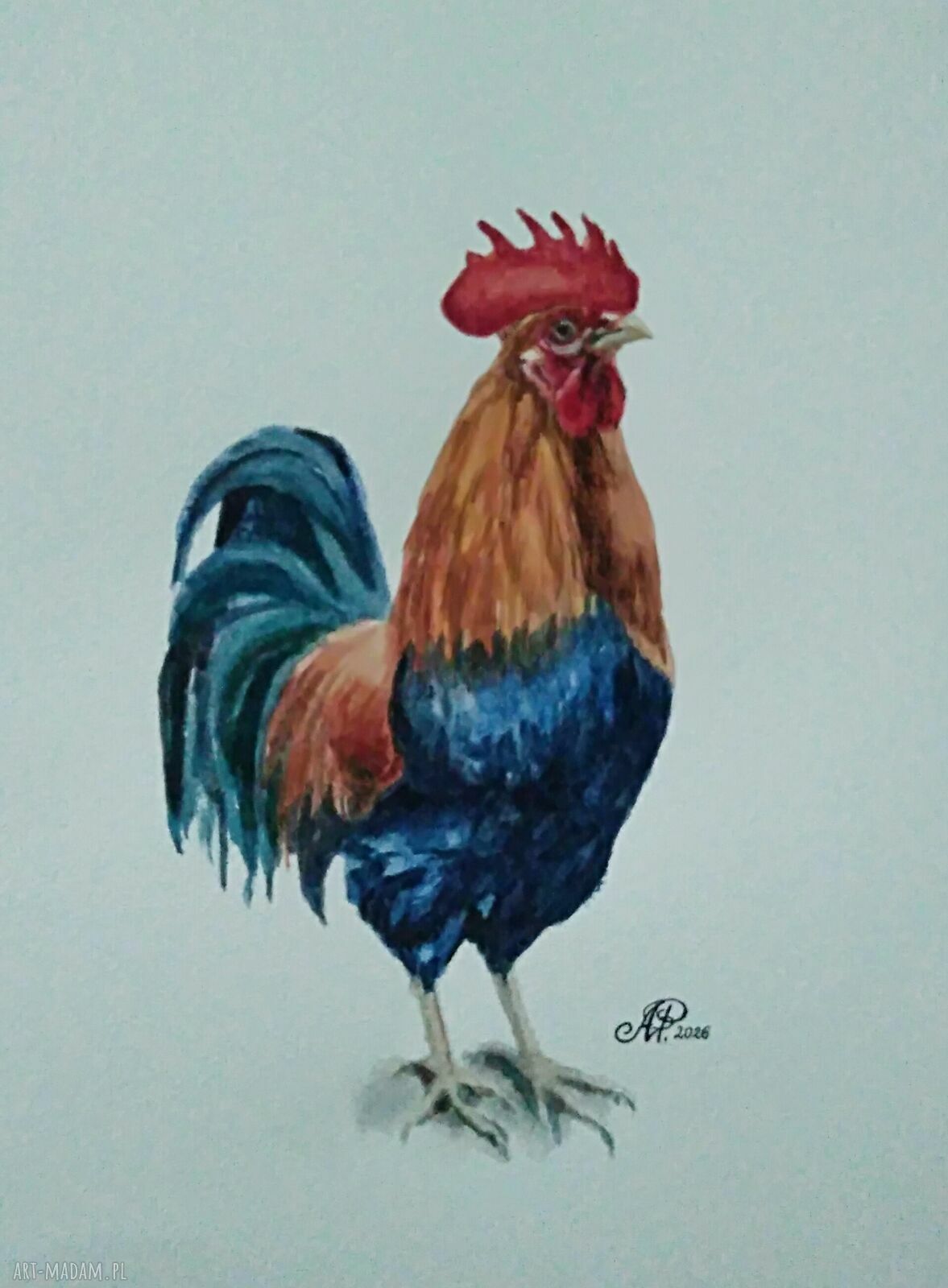 Pan Kogut - akwarela w stylu ludowym do kuchni i jadalni A4