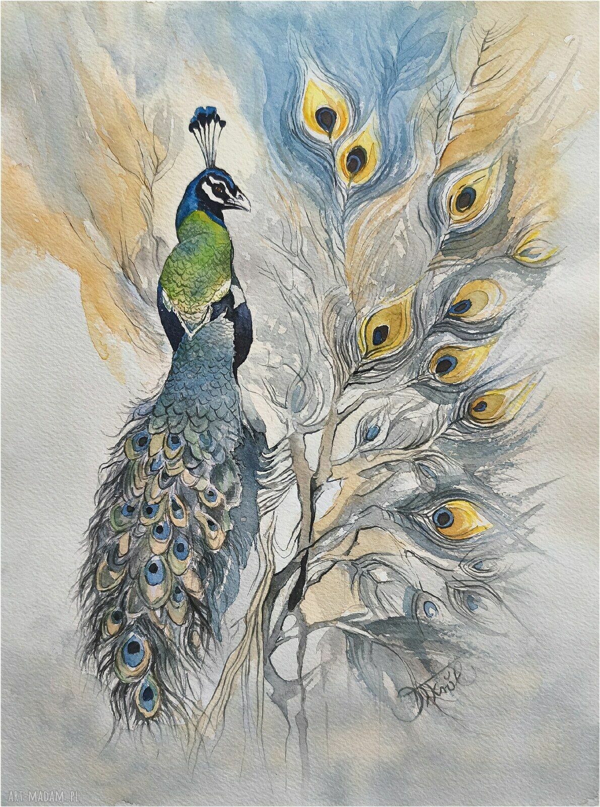Pawie zwierciadło - obraz akwarela 24x32 cm