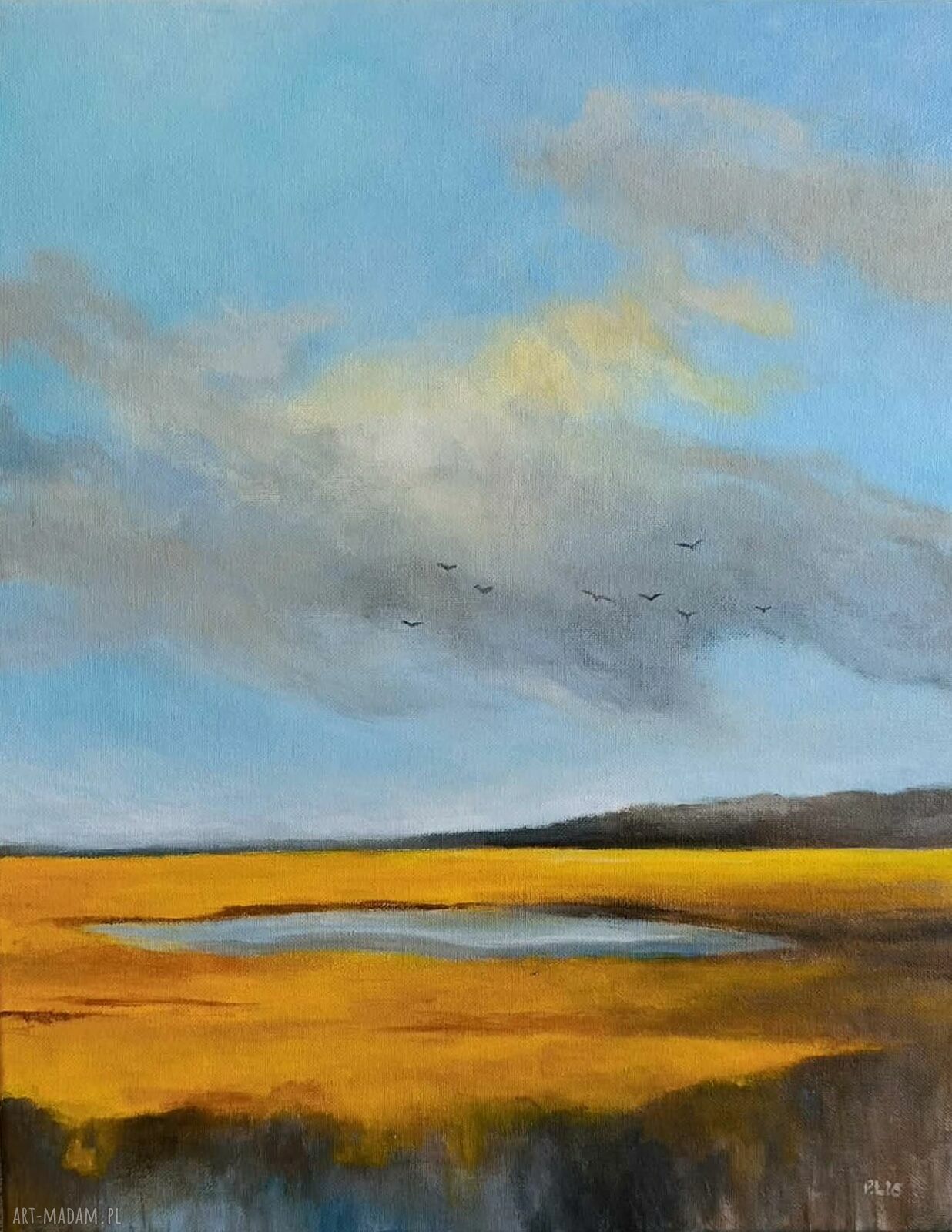 Pejzaż - obraz akrylowy 50 x 40 cm, gotowy do zawieszenia