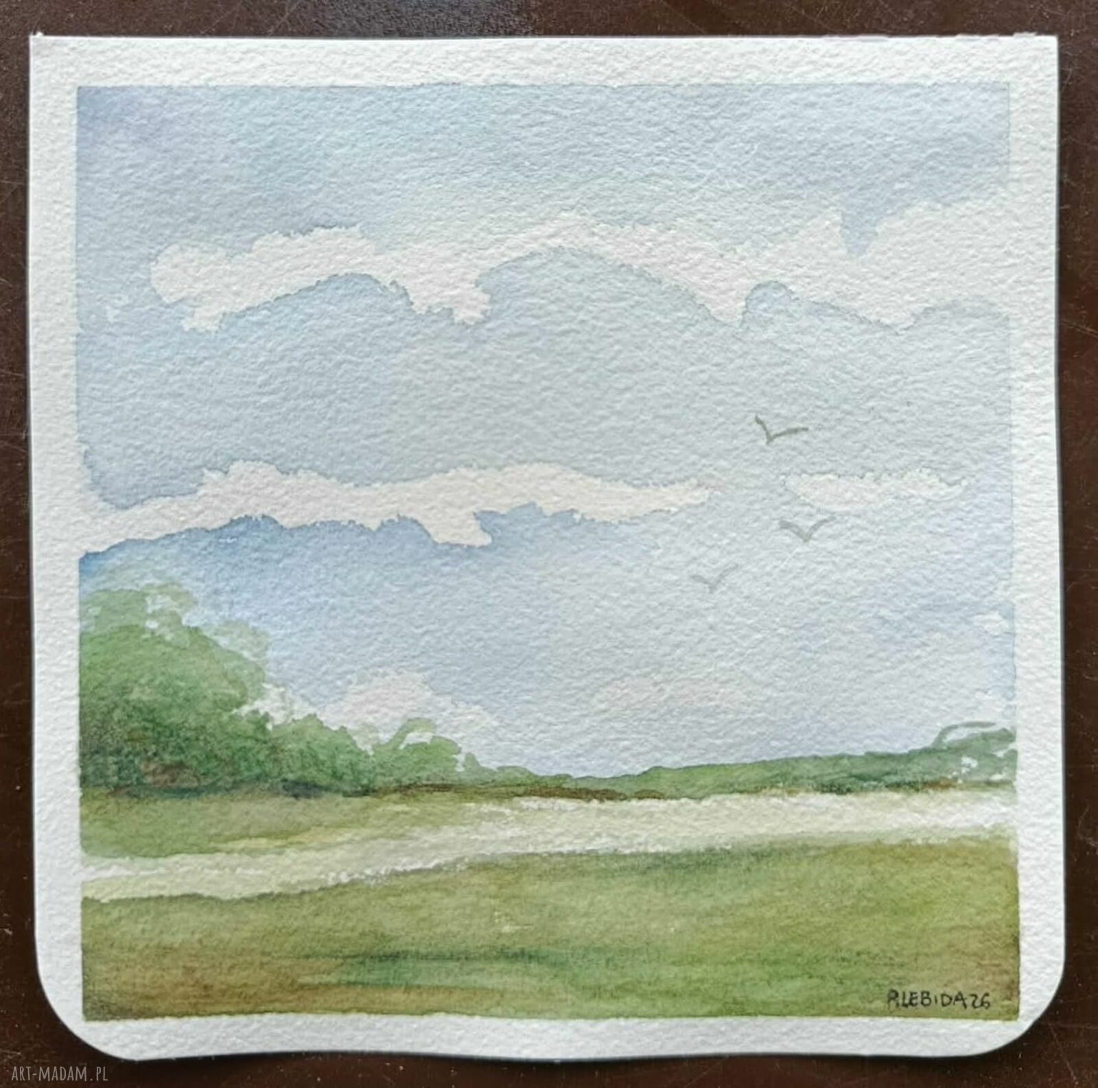 Pejzaż 15x15 cm - kwadratowa akwarela Rembrandt, sygnowana (bez ramy)