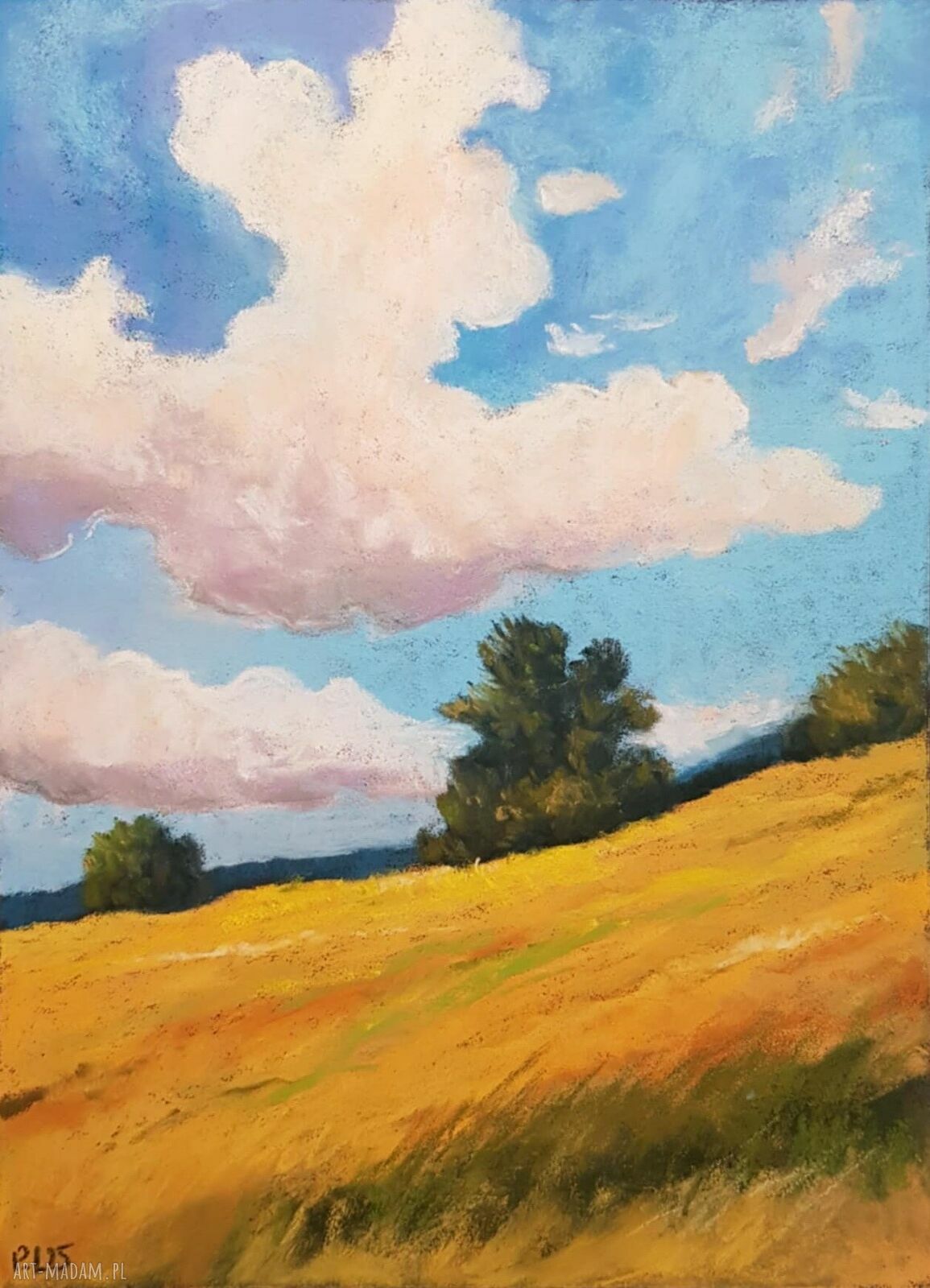 Pejzaż w pastelach suchych - format 24 x 18 cm