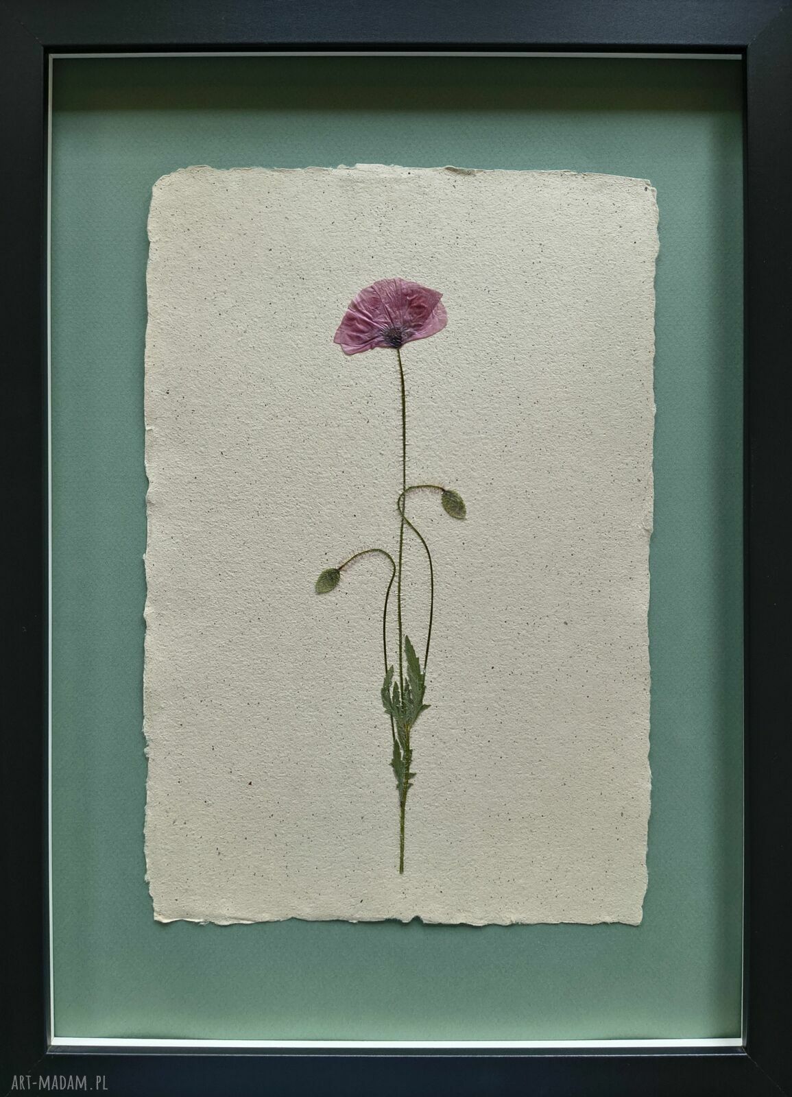 Piękno prostoty - autorski obraz z suszonym kwiatem 30x40 cm