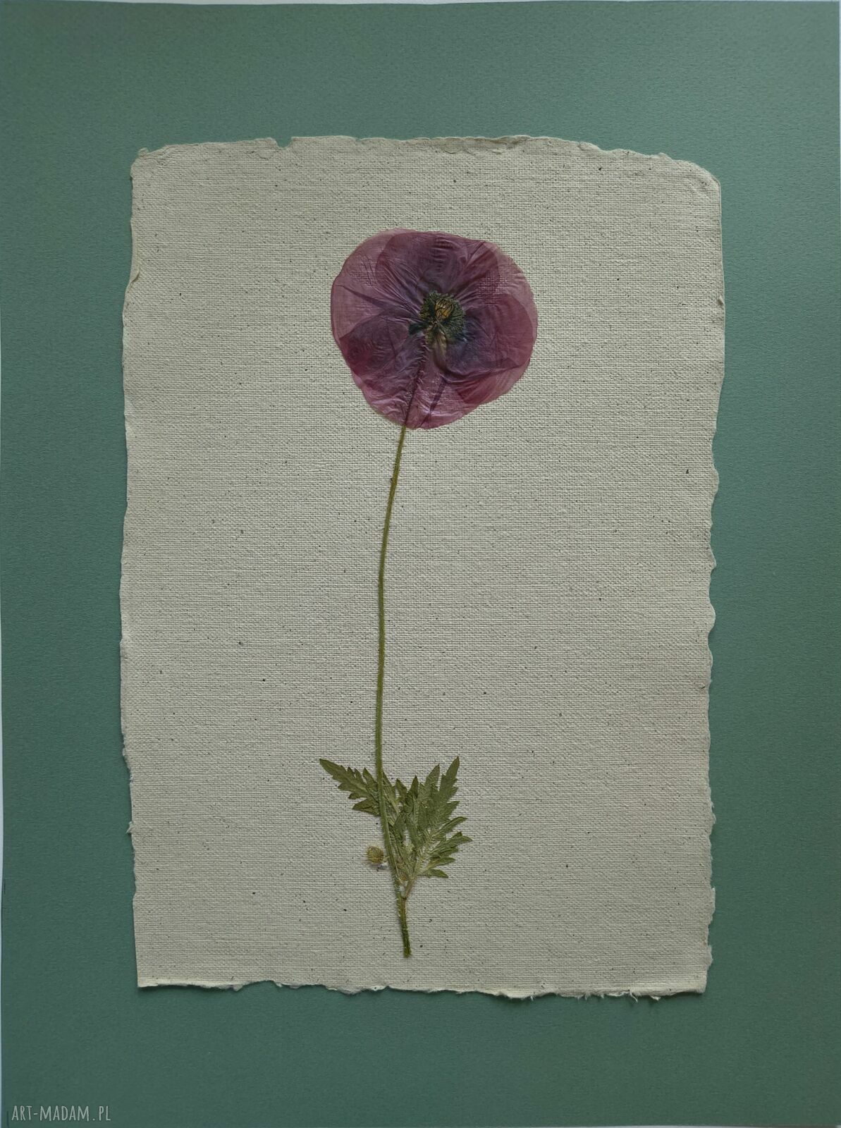 Piękno prostoty - autorski obraz z suszonym kwiatem 30x40 cm