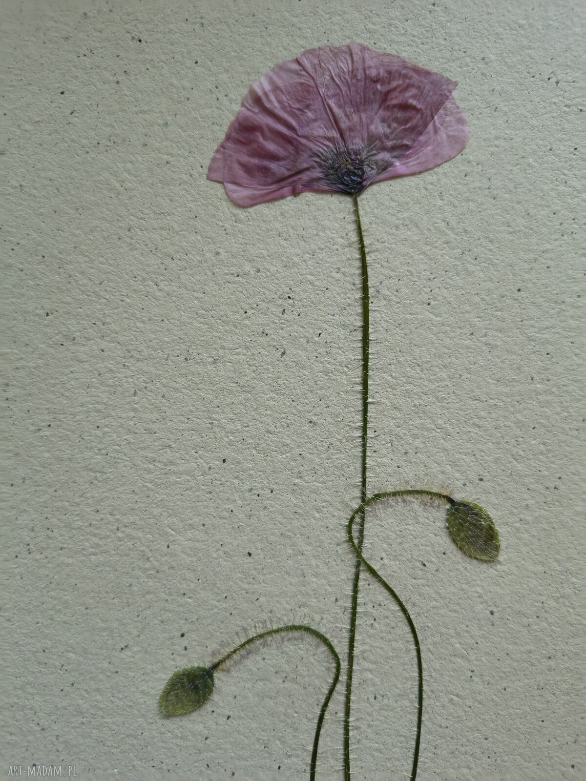 Piękno prostoty - autorski obraz z suszonym kwiatem 30x40 cm