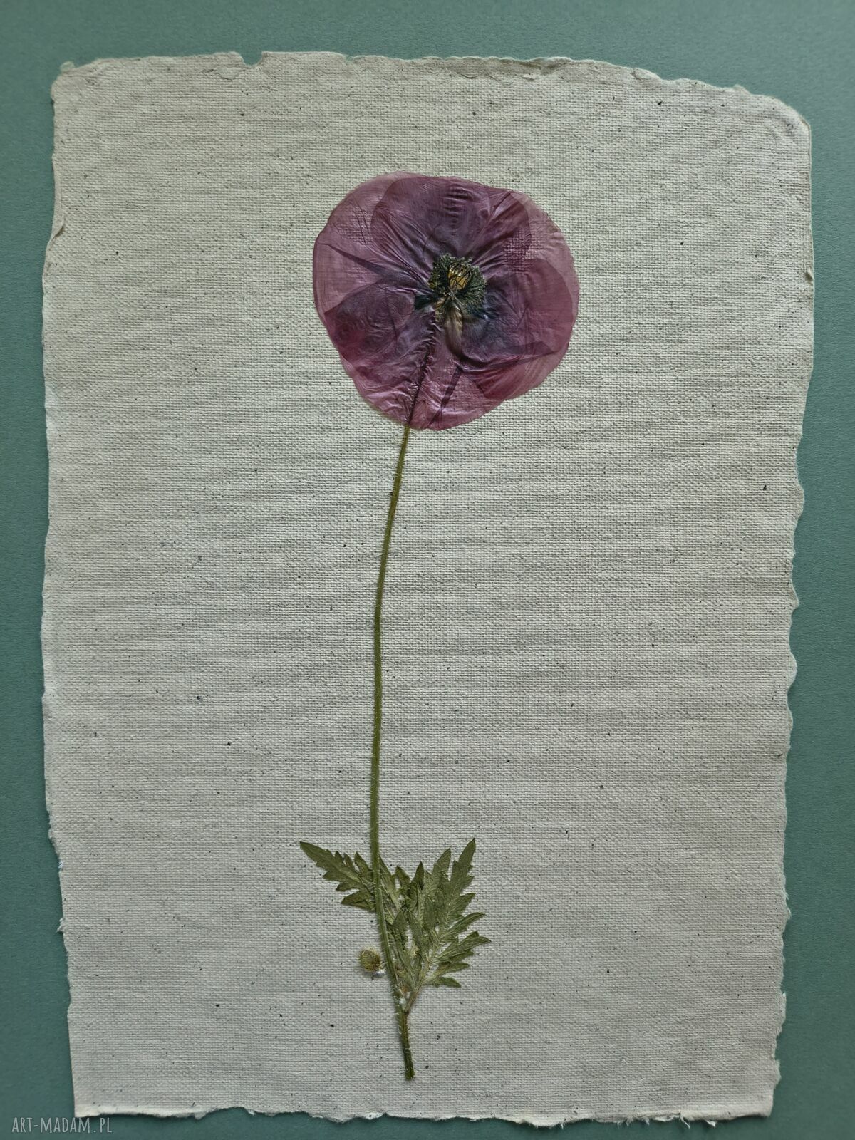 Piękno prostoty - autorski obraz z suszonym kwiatem 30x40 cm