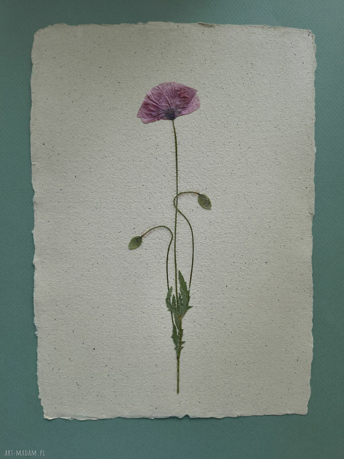 Piękno prostoty - autorski obraz z suszonym kwiatem 30x40 cm
