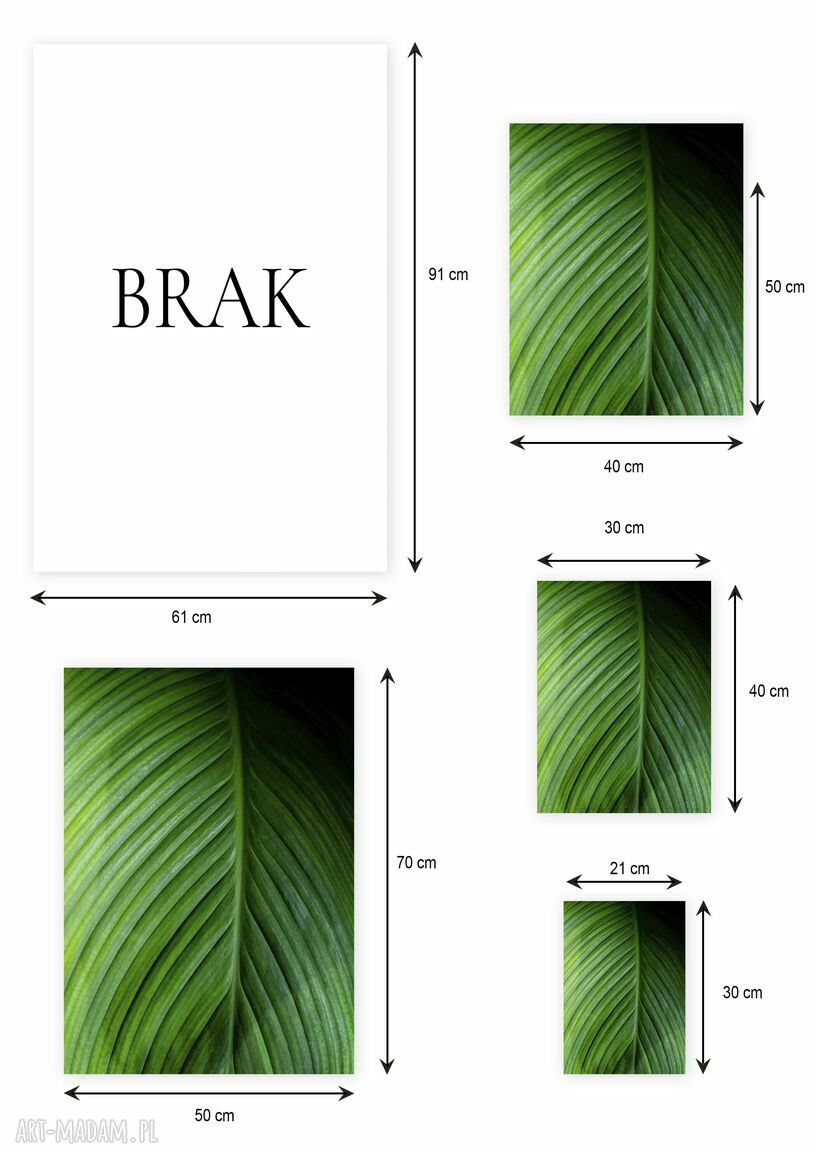 Plakat 40x50 cm - Wypleciona naturą zieleń (GC -21-779)