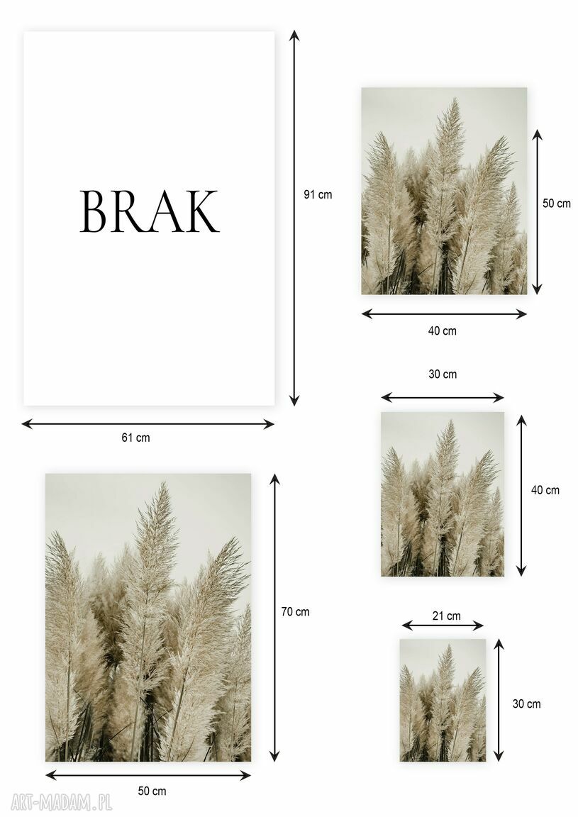 Plakat 40x50 cm z trawą pampasową - styl boho do salonu i sypialni