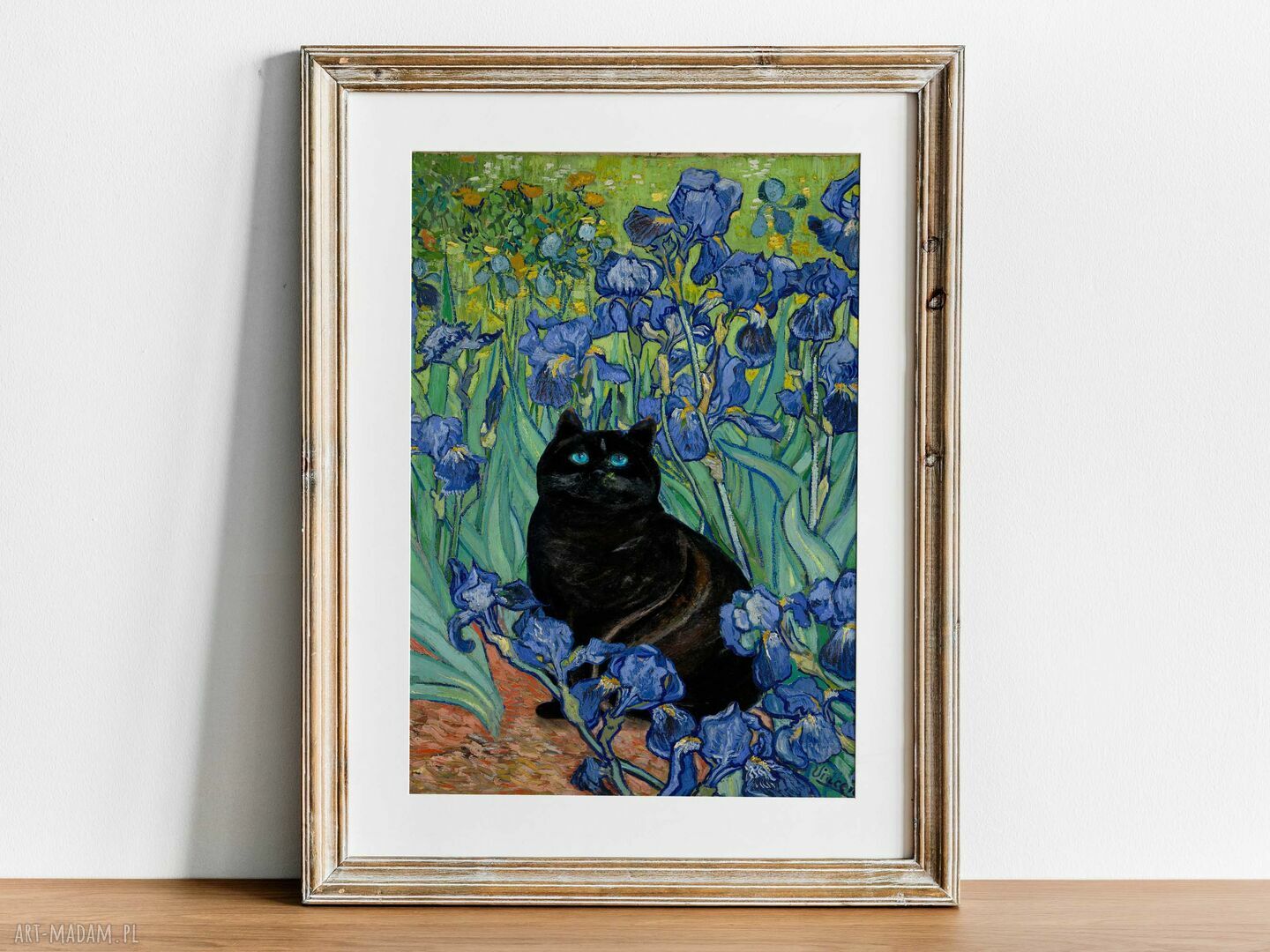 Czarny kot w irysach Van Gogha - plakat 40x50 cm