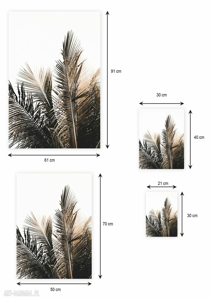 Plakat 50x70 cm - liście palmy GC-20