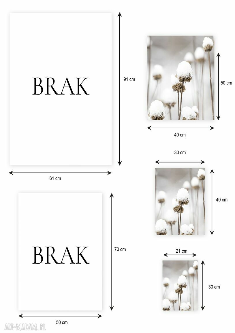 Plakat 50x70 cm - Mroźna polana (GC-21-749)