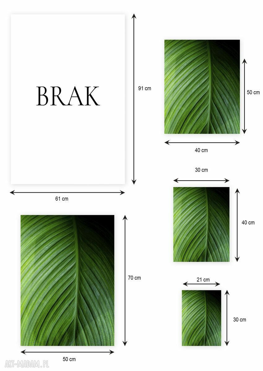 Plakat 50x70 cm - Wypleciona naturą zieleń GC-21-779