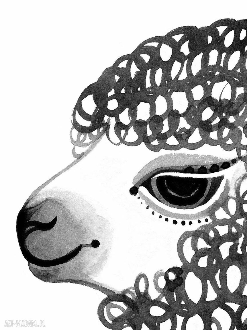 Plakat A2 - Lama (czarna ilustracja z tuszu)