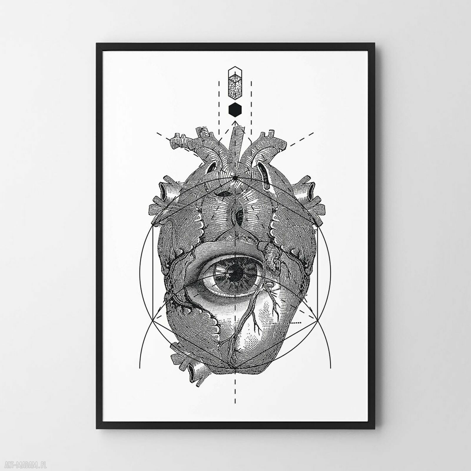 Plakat Anatomia serca - format 30x40 cm, rycina ilustracja vintage