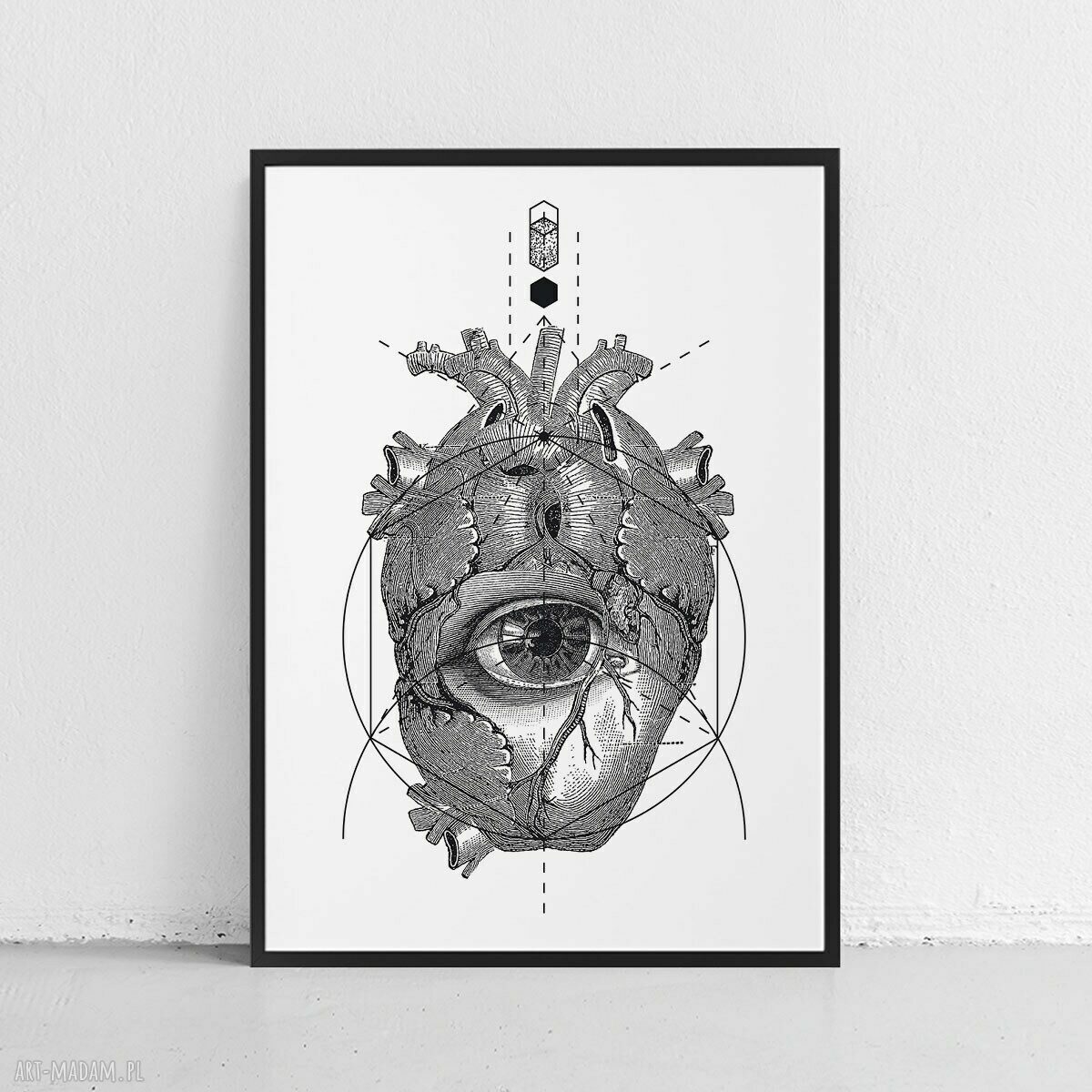 Anatomia serca - plakat 40x50 cm w stylu vintage