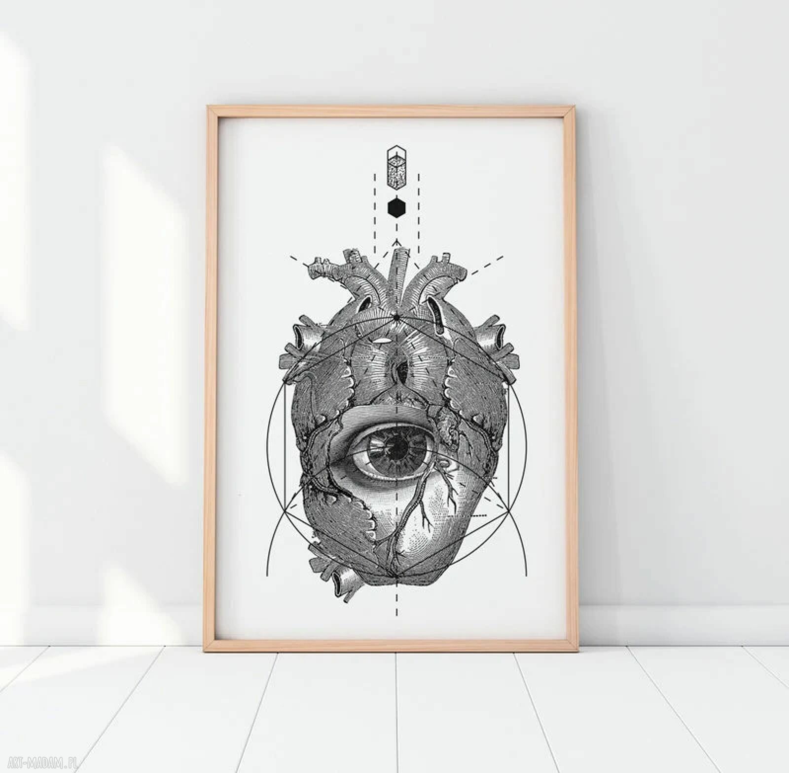 Plakat Anatomia serca - format 30x40 cm, rycina ilustracja vintage