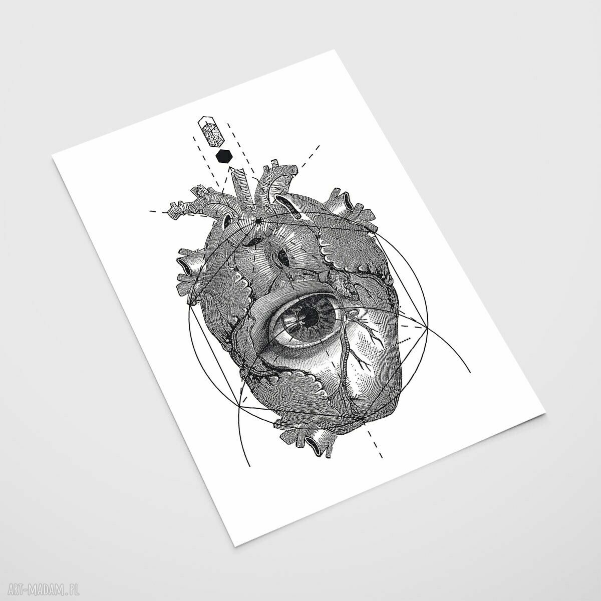 Plakat anatomia serca - rycina vintage w biało-czarnym stylu (A4)