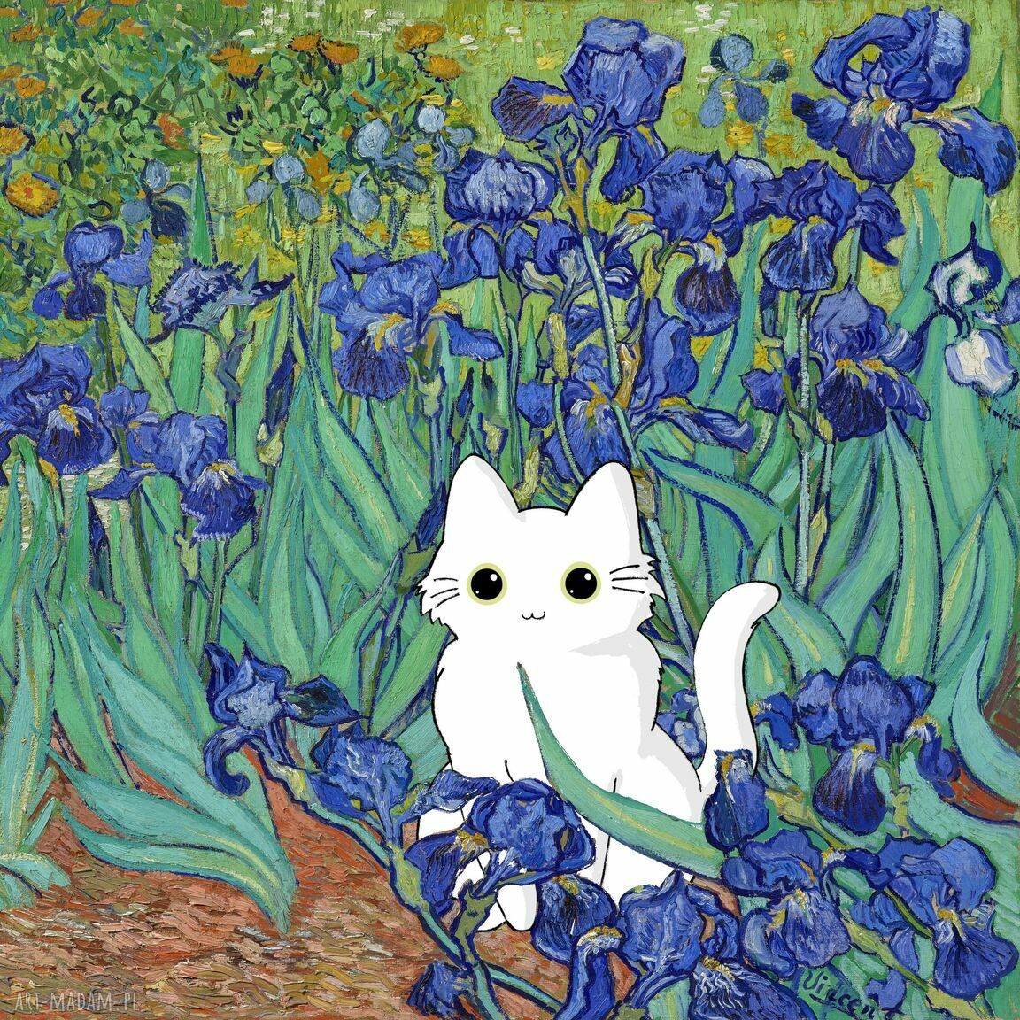 Plakat biały kot w Irysach Van Gogha 40x40 - śmieszny prezent dla kociarzy